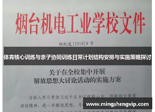 体育核心训练与亲子协同训练日常计划结构安排与实施策略探讨